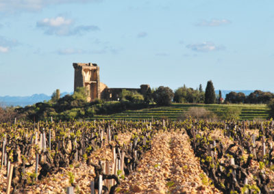 Châteauneuf-du-Pape, histoire d’une success-story