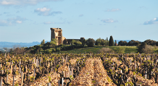 Châteauneuf-du-Pape, histoire d’une success-story