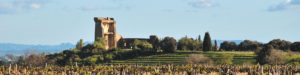 Châteauneuf-du-Pape, histoire d'une success-story