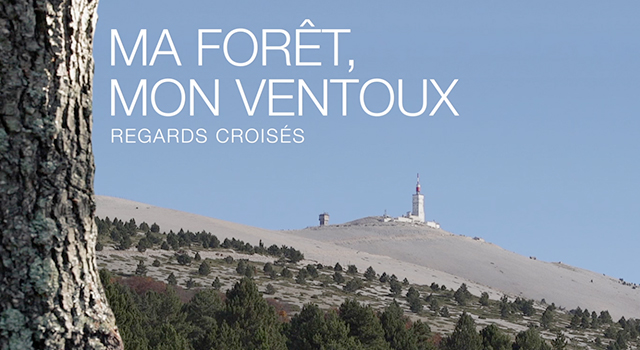 SMAEMV – Ma Forêt, Mon Ventoux