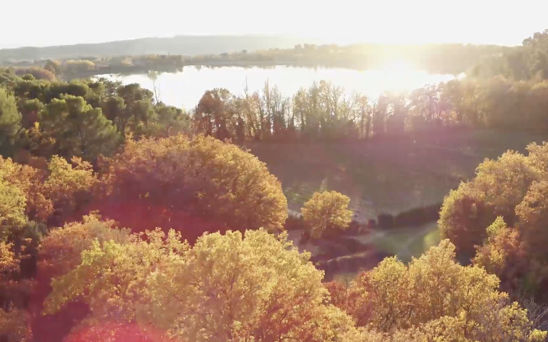 Voeux 2019 – Le Vaucluse prend de la hauteur