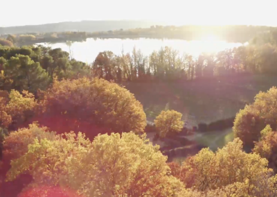 Voeux 2019 – Le Vaucluse prend de la hauteur