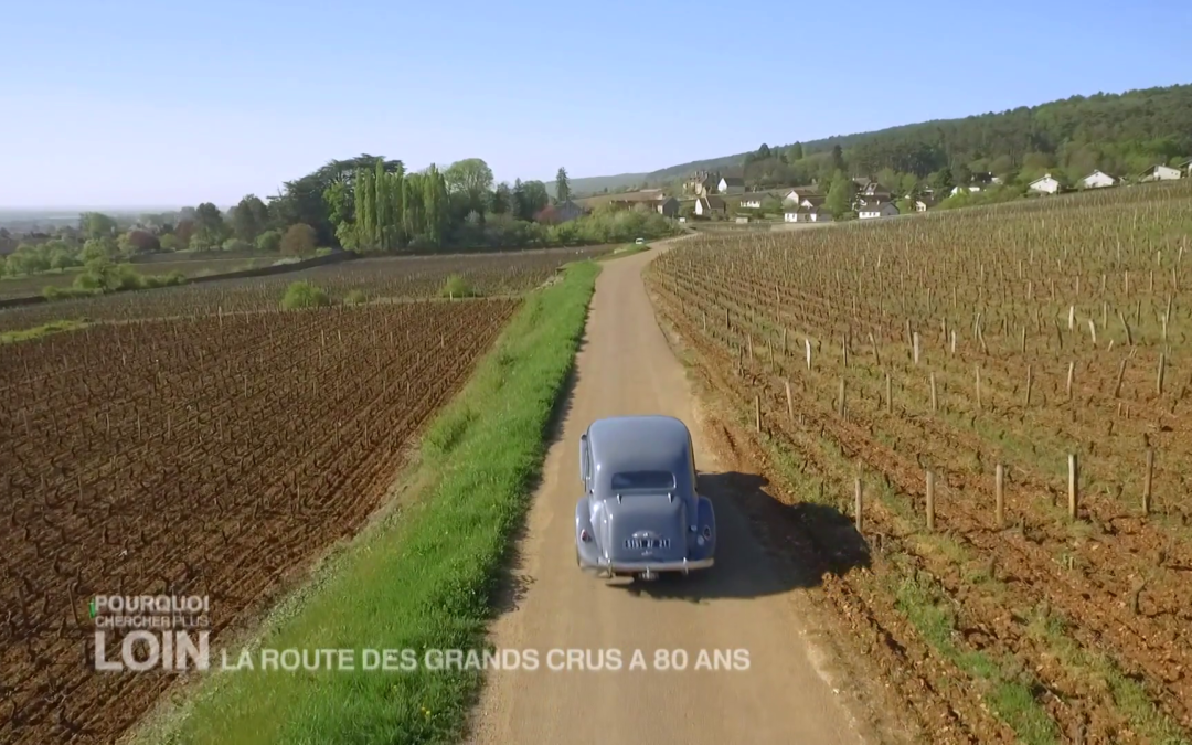 La route des vins