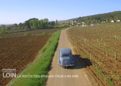 La route des vins