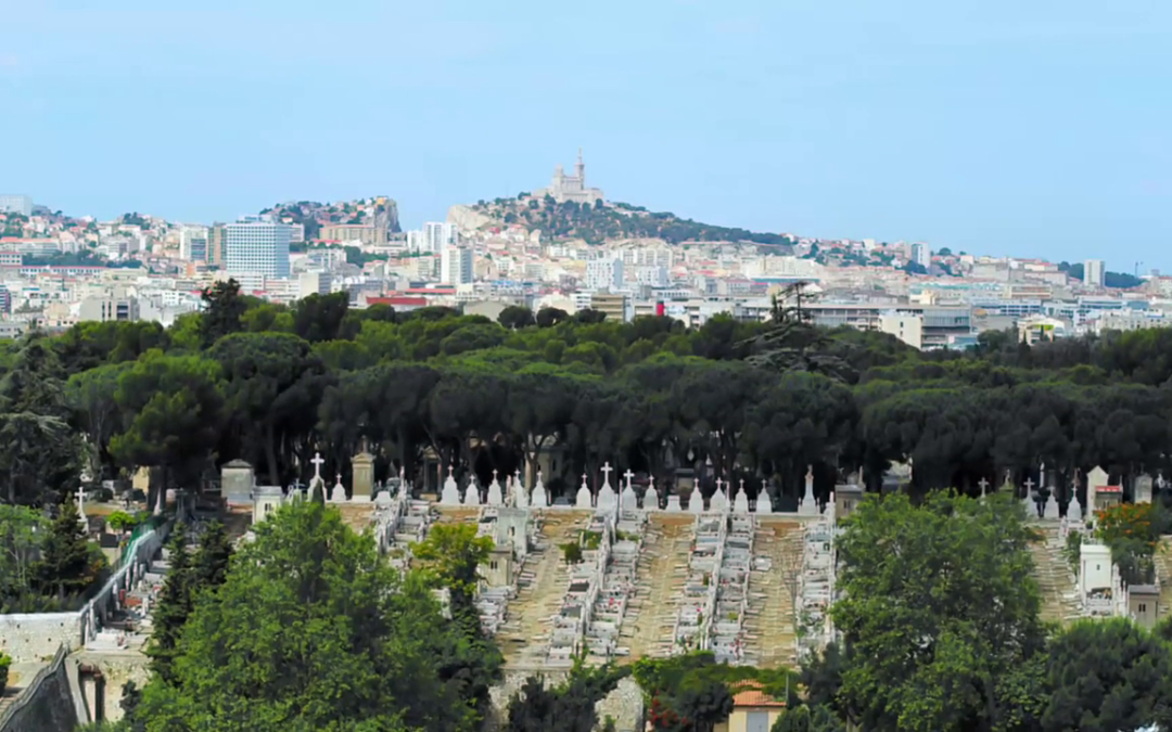 Cimetière Saint Pierre, la vie entre les morts